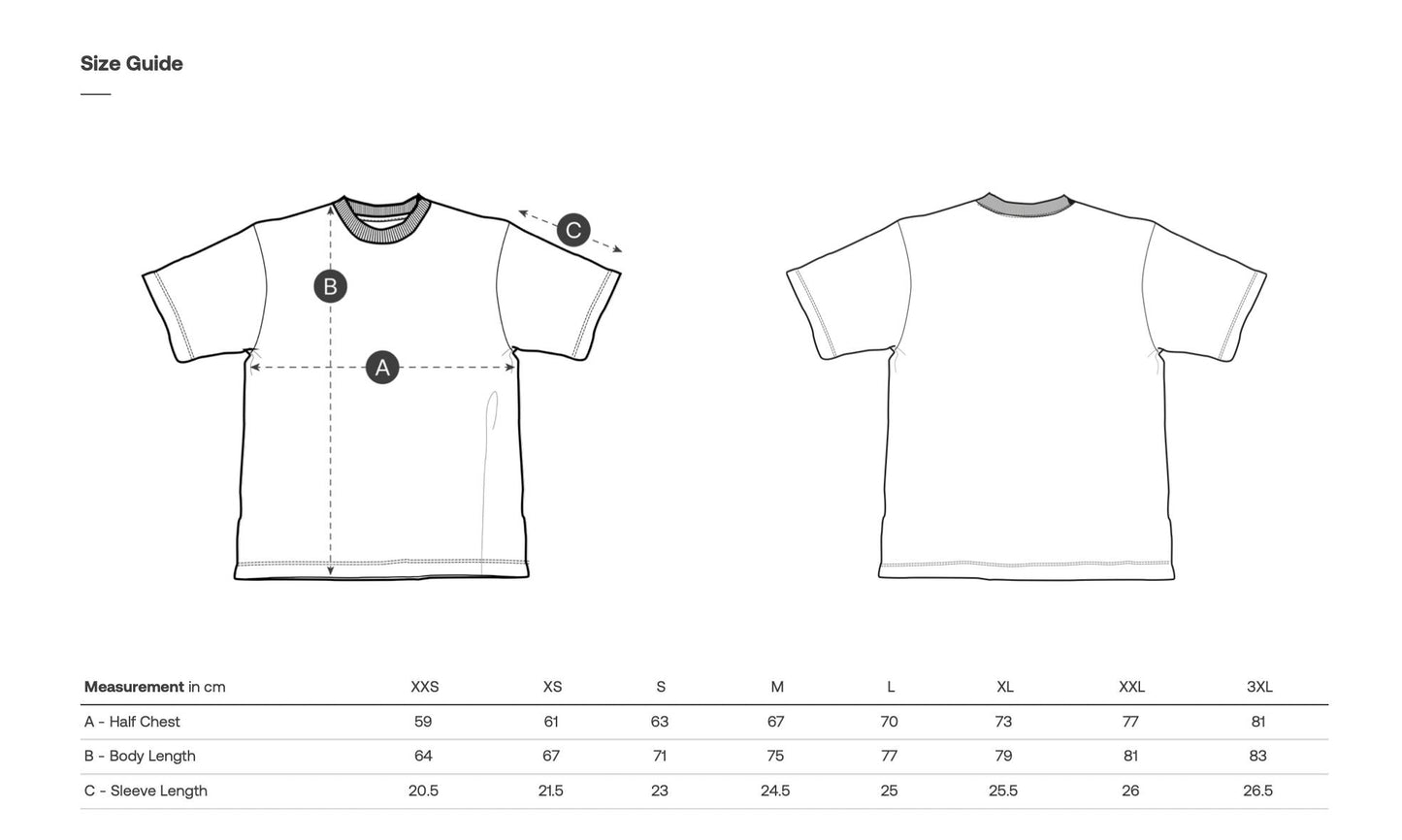 the "greek sunset birds" T-Shirt